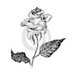 Tina Bazzine (@bazzine8) Twitter profile photo Tina Bazzine (@bazzine8) Twitter profile photo