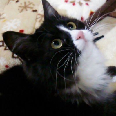 nmtm_mzk's profile picture. 95生☺︎☺︎初期流産経験あり。2025.10.29自然分娩にて誕👧🏻気軽にお声かけください🐿いいねは応援📣の意味です。保護猫2匹もいます🐱車無いと生きていけない田舎住まい🌳