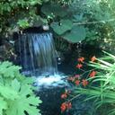 Madison Pond - @MadisonPond - Twitter