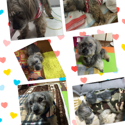 sunsuki's profile picture. モタスポ好きだけど最近観戦に行けてないです💦