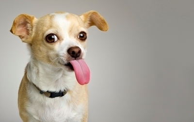 BestLifeYet09's profile picture. Every success is built on the ability to do better than good enough.  Follow your dreams and always believe they will come true!