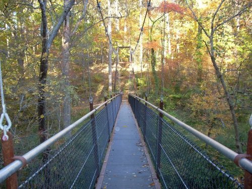 paranoidlawyer's profile picture. I like beagles and Latin poetry. Also, cake.