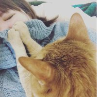 ヾ(あ・-・や)ノ (@pnt22) 's Twitter Profile