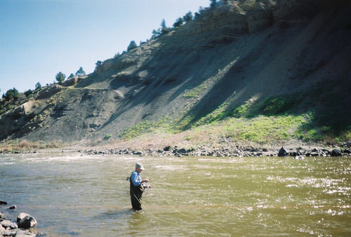 iFlyFish's profile picture. Fish, golf, wine, travel, photography but not in that order all the time