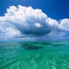 Se espera que la lluvia pase.
Se espera que los vientos lleguen.(Alejandra Pizarnik)
