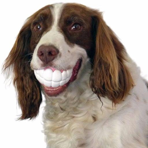 Eminine_'s profile picture. I like to nom and dance :3