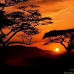 said_addad's profile picture. 