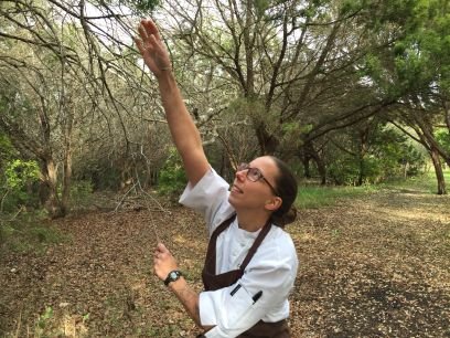 _chefalice's profile picture. Chef. Wife. Life.