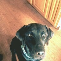 Méadhbh (@maevesatt) 's Twitter Profile