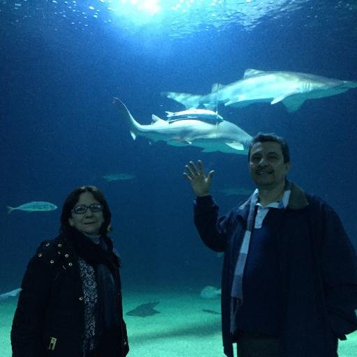 FcoJavierCh's profile picture. CARACAS