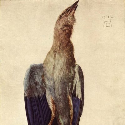 _d_n_y's profile picture. 