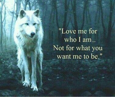 DontBeHaters1's profile picture. Wolves are life. Kimber Alicia Kayde Emma Elexa Olivia Sofie Kinz and Baby Brooklyn are Love❤
