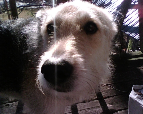 jpweinberger's profile picture. Somewhere, something incredible is waiting to be known. - C.S.