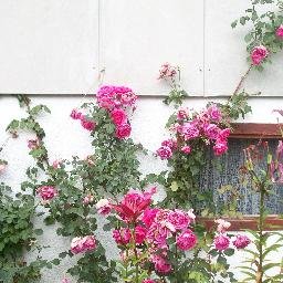 mircosich1's profile picture. s tobom kad sam bio sam...