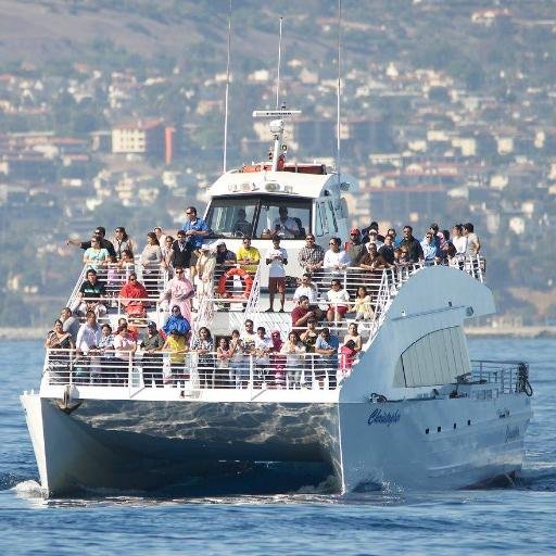 Providing public whale watching, world port, & charter cruises for over 18yrs in the LA & Orange County areas. ~ 100 Aquarium Way #2 ~ 562-432-4900
