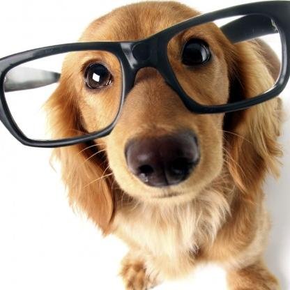 siddu_sharan's profile picture. 