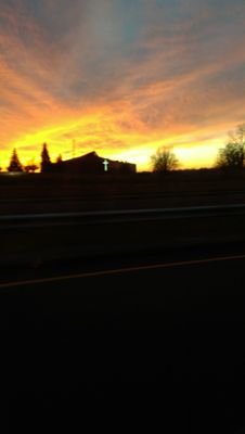 dreadscne's profile picture. 