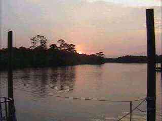 WolfBayClar's profile picture. 