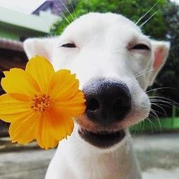 CassyLopez8's profile picture. Future World Traveller