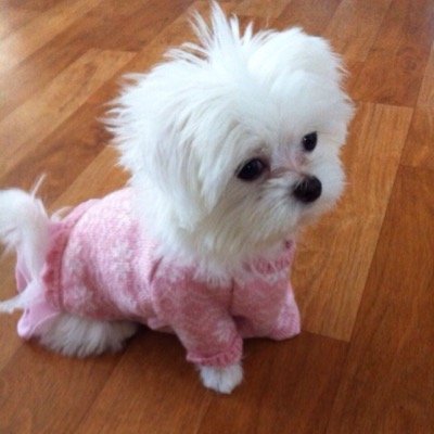 Takemuchi4713's profile picture. ドラマーになりたい