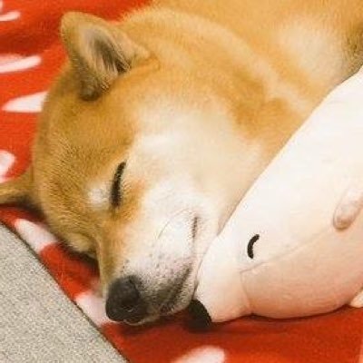 VividDia's profile picture.