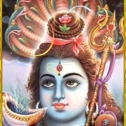 mkastroguruji's profile picture. 
