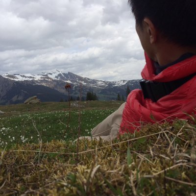 carentan2025's profile picture. 欧州鉄道の旅、キングタイガー、ペドロ・マルティネス、京都の寺、前田智徳、Bodyattack＆combat、広島カープ、豚しゃぶ、男子高校駅伝、西洋絵画（モネ、クリムトなど）、芦毛の馬、ツールドフランス、素人写真、蕎麦、BoB、洋画など。39歳製薬会社勤務。https://t.co/to87lA0GJ2