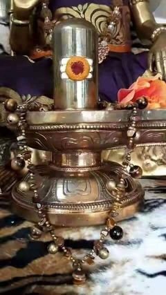 dineshsatiya's profile picture. 