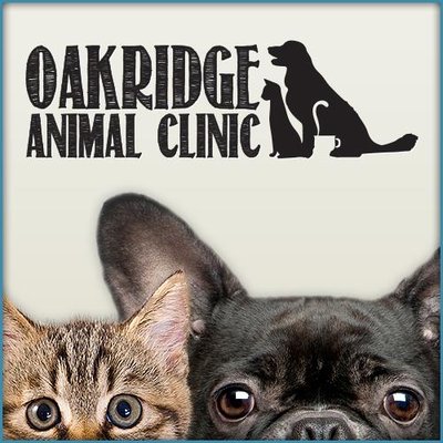 Oakridge Animal (@oakridge_ac) / Twitter Oakridge Animal (@oakridge_ac) / Twitter