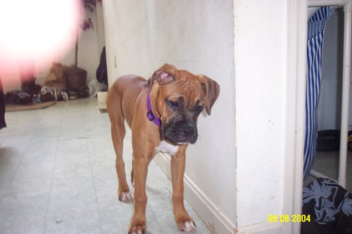 MommyDoc's profile picture. Mother of 4 and Family Doc.