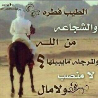 Mmn2011N's profile picture. 