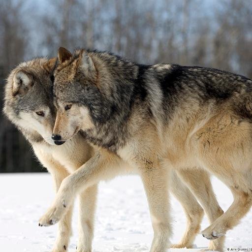 tzanou_katerina's profile picture. 