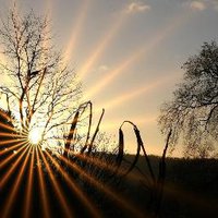 Nature Of Beauty (@natureofbeauty2) 's Twitter Profile Photo