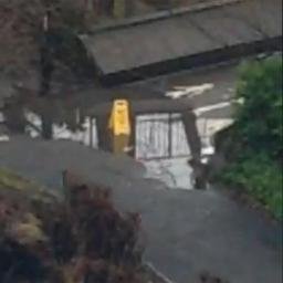 RealPuddle's profile picture. 