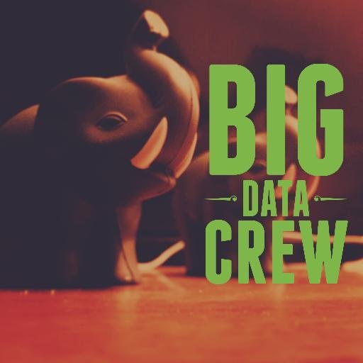 BigDataCrew's profile picture. May the force be with your data