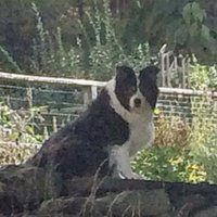 DryJect North East (@dryjectne) 's Twitter Profile