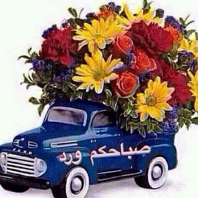 salahalmasre111's profile picture. ‏مدير إدارة الشئون المالية والإدارية بمؤسسة حلفا الجديدة الزراعية و (بالمعاش)