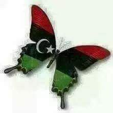 zahidkhan979461's profile picture. 