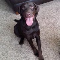 Amanda Faunce (@amandafaunce) 's Twitter Profile