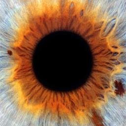 TheCinelapse's profile picture. The screen is a magic medium. It has such power that it can retain interest as it conveys emotions and moods that no other art form can hope to tackle.