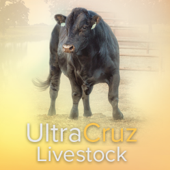 Premium brand of supplements, grooming and critical care products for livestock. Find our products at https://t.co/B3wTpBfusC