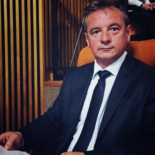 Maire délégué d'Equeurdreville-Hainneville commune déléguée de Cherbourg en Cotentin
Conseiller départemental de la Manche
Conseiller communautaire du Cotentin