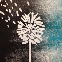 elke hoffman (@hoffmanelke) 's Twitter Profile Photo