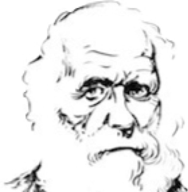 The only faithful reproduction of the famous Affe mit SchƤdel. Our homology & heterology with other great apes ft. concepts in anatomy & art. Some nudity.