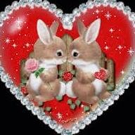 Eber52045183's profile picture. 