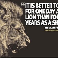 ThinkforSuccess (@vate_moti) 's Twitter Profile Photo ThinkforSuccess (@vate_moti) 's Twitter Profile Photo