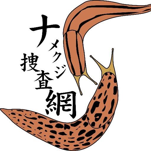 ナメクジ研究者。「ナメクジ捜査網」ではマダラコウラナメクジ(っぽいやつ)または、普段見るのとは違うナメクジの写真及び見つけた場所の情報をお待ちしています。情報の送り先は下記webサイトよりご確認ください。