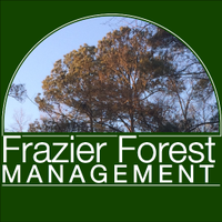 Frazier Forest (@frazierforest) 's Twitter Profile