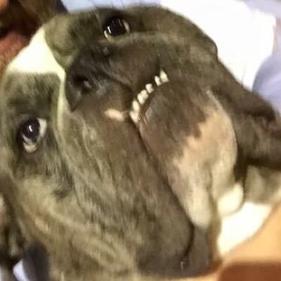 FreeLugnut2k16's profile picture. LUGNUT IS GOING TO BE FREE