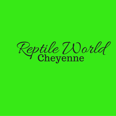 Owner of E-T Exotics Opening Reptile zoo in Cheyenne, Wy